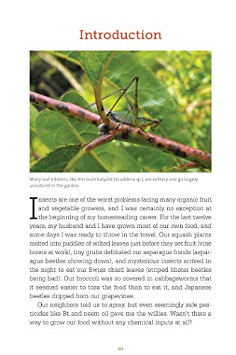 Bug-Free Organic Gardening: Controlling Pest Insects without Chemicals - Image 5