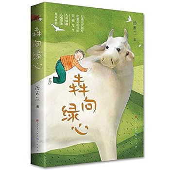 Paperback ???? [Chinese] Book