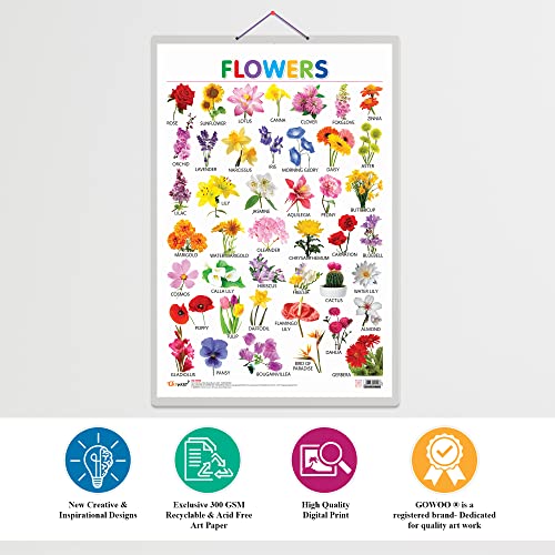 Image of GO WOO Combo of 2 Alphabet and Flowers Educational Posters for Preschool Kids Classroom Study | Learning- Charts for Kids Learning (20 inchX30 inch Inches)