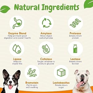 Probiotics for Dogs – Digestive Enzymes for Gut Health, Diarrhea & Bowel Support, Seasonal Allergies, Dog Supplement for Pet Immune System, Dog Vitamin – 120 Soft Chews – Chicken