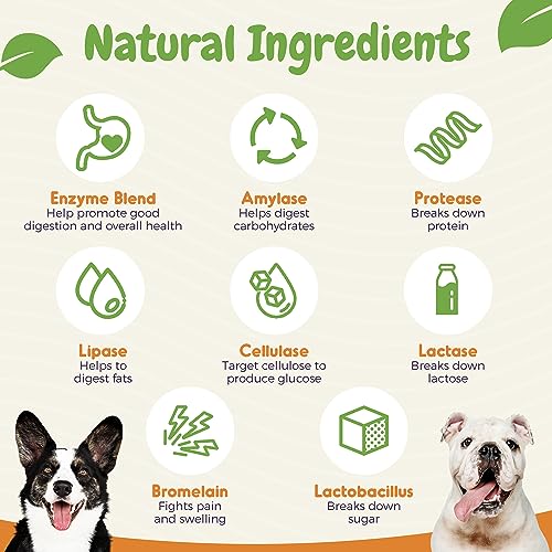 Probiotics for Dogs – Digestive Enzymes for Gut Health, Diarrhea & Bowel Support, Seasonal Allergies, Dog Supplement for Pet Immune System, Dog Vitamin – 120 Soft Chews – Chicken Probiotics for Dogs – Digestive Enzymes for Gut Health, Diarrhea & Bowel Support, Seasonal Allergies, Dog Supplement for Pet Immune System, Dog Vitamin – 120 Soft Chews – Chicken
