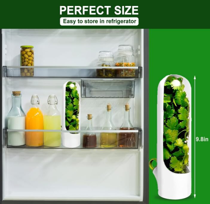 ZPSHYD Herb Keeper, Freshness Storage Container, Preserver Extend Shelf Life for Cilantro Mint, Parsley, Asparagus Maintain Longer - Image 4