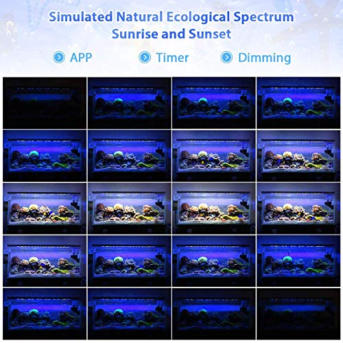 Bozily Aquarium Lights LED 300W, Full Spectrum Coral Reef Light for Aquarium Tanks Lighting APP Control with Auto On/Off Dimming & Timer for Saltwater Freshwater Fish Grow Marine Tank - Thumbnail 3