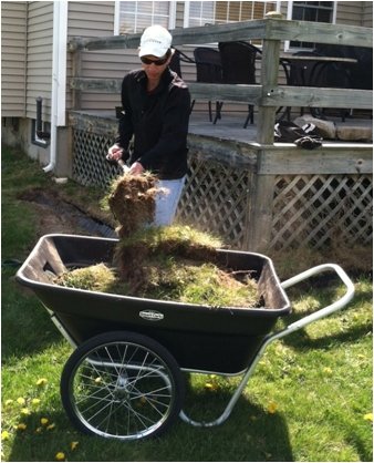 7 Cu. Ft. Residential Grade Utility Cart #TOP4