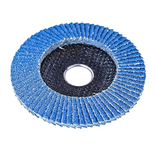 S&R Fächerschleifscheiben Set 10 St., 125 x 22,23 mm, Profi Qualität, Fächerscheiben, T29, Lamellenschleifer Satz für Stahl, Edelstahl, Körnung P60