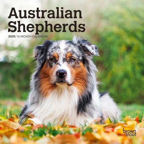 BrownTrout, Australian Shepherd 2025 Mini Wall Calendar