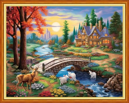 Image of Dimensean Stamped Cross Stitch Kits Full Range of Embroidery Patterns Starter Kits for Beginners Adult DIY Cross Stitches Needlepoint Kits 11CT-Dream Home 16x20 inch