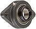 Browning VF2E-135 Intermediate-Duty Flange Unit, 2 Bolt, Eccentric Lock, Regreasable, Contact and Flinger Seal, Cast Iron, Inch, 2-3/16" Bore, 7-1/4" Bolt Hole Spacing Width, 8-1/2" Overall Width