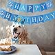 Hunde Geburtstagsparty Zubehör, Haustier Party Dekorations Set, Geburtstagskrone, Bling Bling Fliege und Happy Birthday Banner für Hunde Katzen Haustiere, Blau
