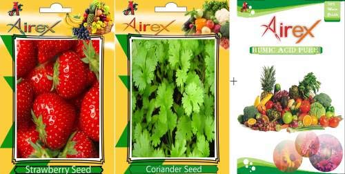 fragola, seme di coriandolo