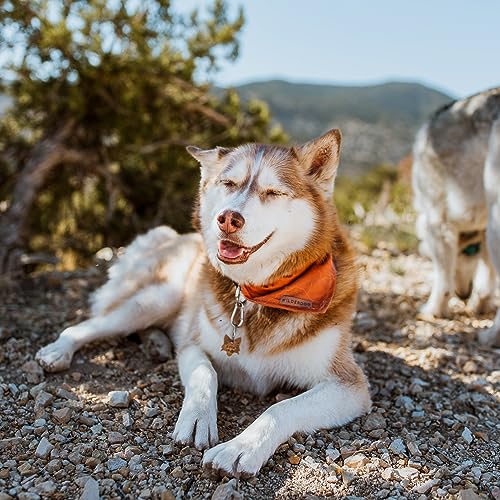 Image of Wilderdog Dog Bandana with Lightweight Quick Drying Poly-Blend Mesh Material in Orange