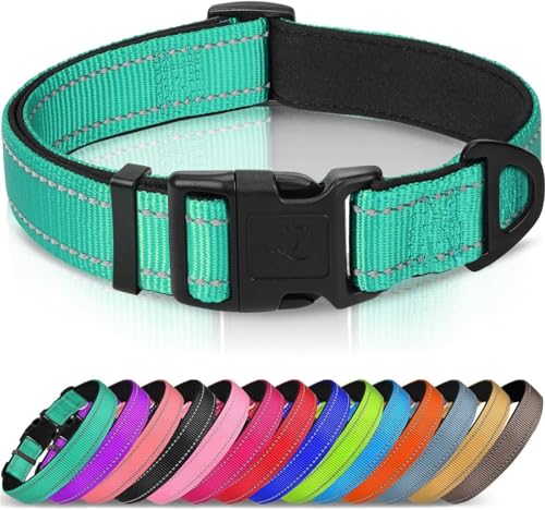 Collar Básico para Perros Reflectivo con Neopreno Suave L
