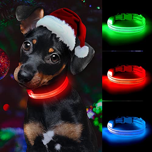 Vizpet Led Cat Dog Collar Usb Rechargeable & Xs Adjustable Size Nylon Collar Bright Safety Pet Collar For Small Cats & Dogs (Red) #TOP1