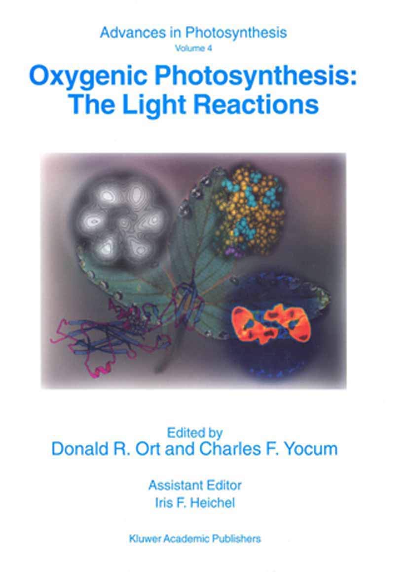 Oxygenic Photosynthesis: The Light Reactions: 4 (Advances in Photosynthesis and Respiration)