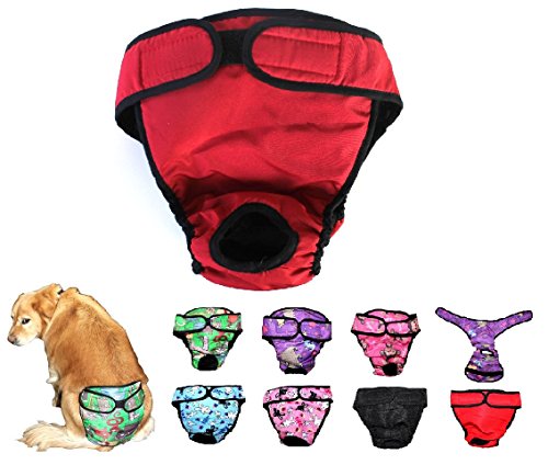 Image of Dog Diaper Reusable Washable Female Girl for Medium & Large Big Dog Breeds Size L, XL, XXL (Large: Waist 20 inch - 24 inch, Red)