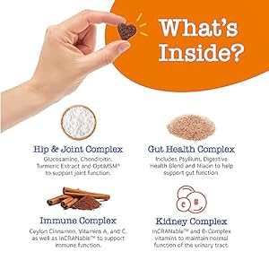 Zesty Paws Multivitamin Treats for Dogs  Glucosamine Chondroitin for Joint Support + Digestive Enzymes  Probiotics  Grain Free Dog Vitamin for Skin  Coat + Immune Health  Beef  Advanced  90ct  Cucciolini Doodles Zesty paws multivitamin treats for dogs  glucosamine chondroitin for joint support + digestive enzymes  probiotics  grain free dog vitamin for skin  coat + immune health  beef  advanced  90ct   cucciolini doodles