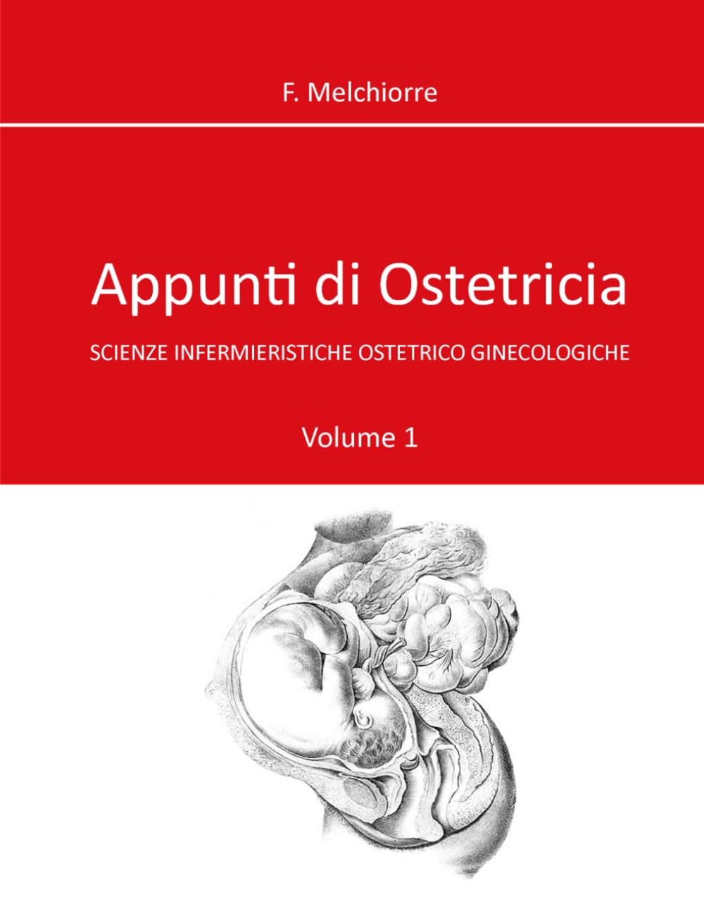 Appunti di ostetricia: Volume 1