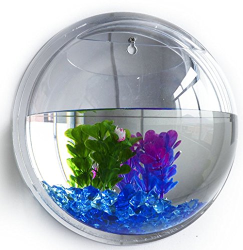 Grande montaggio a parete acquario, vaso di fiori