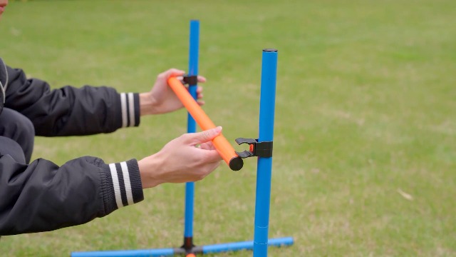 Kit Agility Dog Tanniws 70 Pezzi - Con Tunnel, Ostacoli, Anello, Pali Slalom, Per Cani Di Tutte Le Taglie