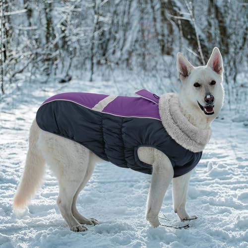 CITÉTOILE Hundemantel Wasserdichter, Hundejacke Winddichte Wintermantel Hund Outfit mit Reflektierender Streifen und Reißverschluss, Lila, M