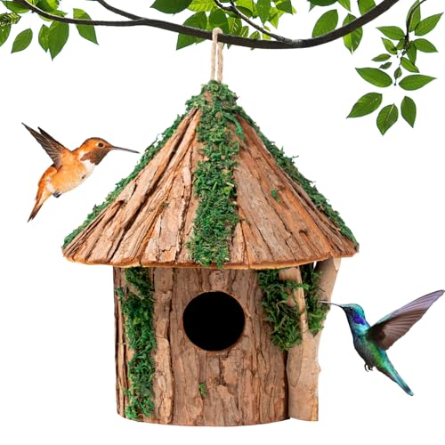 Premium Wooden Bird House, Cedarwood Hanging Birdhouse with Predator Guard, Nesting Box for Wild Bird Viewing, Indoor Decorative or Outdoor Functional Use, Ideal for Birdwatchers, Medium