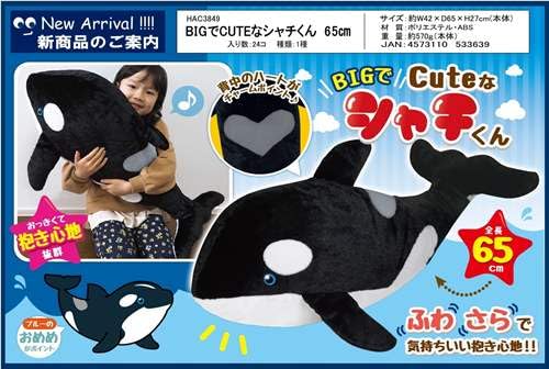 Amazon.co.jp: ハック HAC BIGでCUTEなシャチくん 65cm HAC3849 : おもちゃ