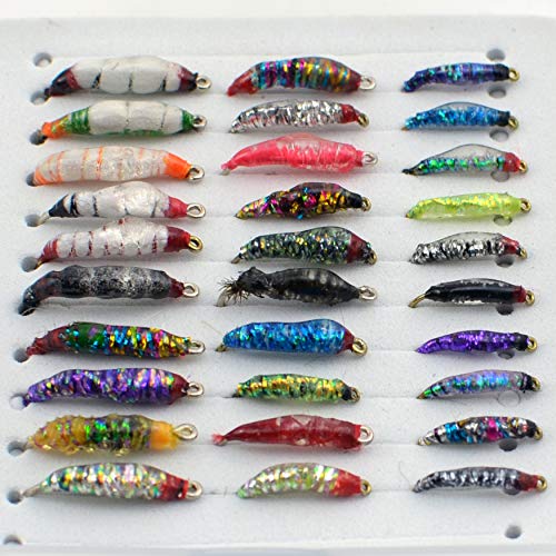 YAZHIDA Realistic Flies Fly Fishing Flies kit - Fly Assortment Trout Bass Fishing with Fly Box, with Dry/Wet Flies, Nymphs, Streamers,Fly Poppers (Fly Eggs)