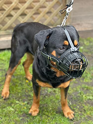 Starker Maulkorb aus Drahtmetall für Hunde, Rottweiler, Mastiff, Golden Retriever und andere (TR, schwarz/schwarzes Leder)