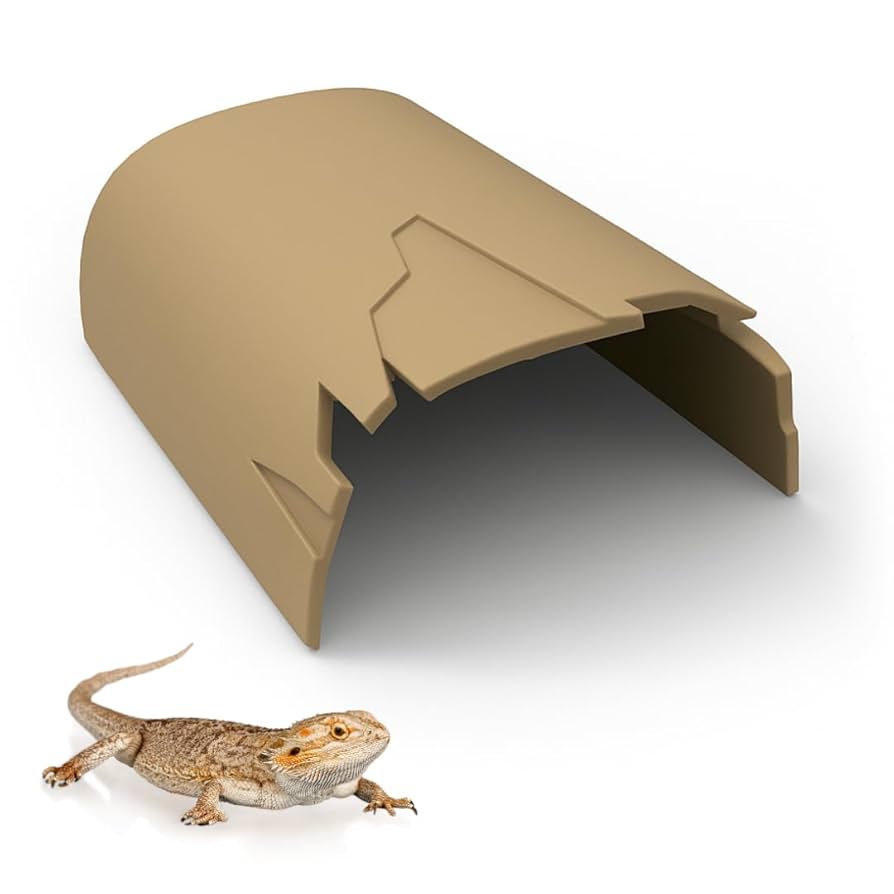 流木　ずっしり肉厚大穴型　レイアウト　シェルター Amazon | 爬虫類シェルター 木の洞穴型【Sサイズ】両生類用