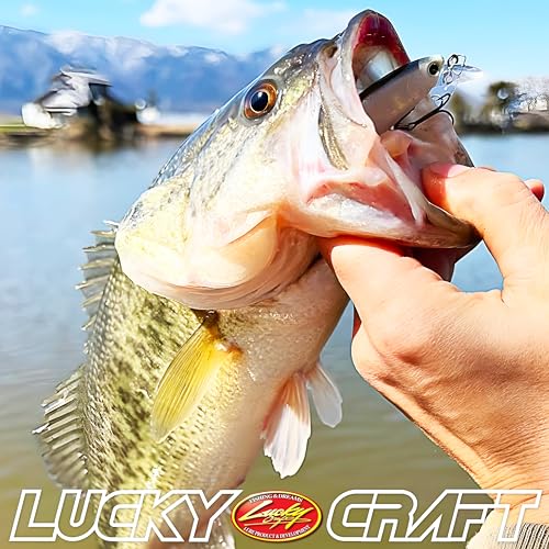 ラッキークラフト (LUCKY CRAFT) ポインター 65 (ビーフリーズ 65SP サスペンディング) バス用 6枚目