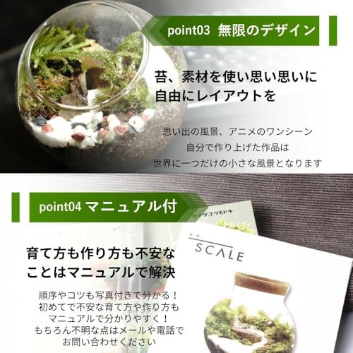 苔庵介る 16cm溶岩石苔テラリウムスターターキット