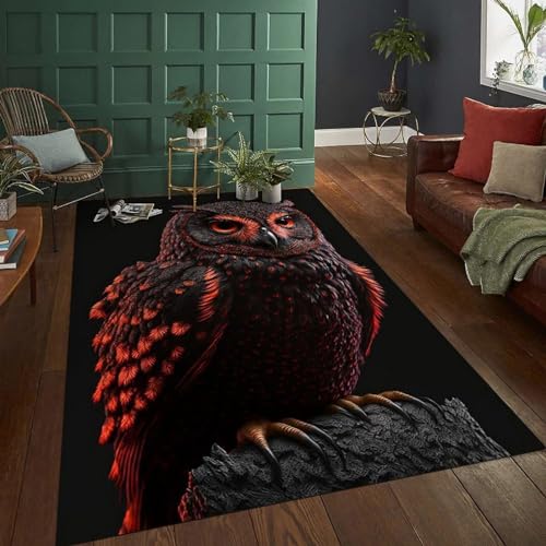 Tapis Pour Enfants, Impression 3D Tapis Chouette Des Animaux Chambre D'Enfant Ou Tapis De Yoga De Grande Surface Dans Le Salon 80 X 120 Cm - Nettoyage Facile...