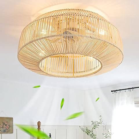 zheshirui 20" Boho Caged Ceiling Fan with Lights Flush Mount Cover