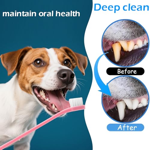 Image of 8pcs Dog Toothbrush-3 Styles Soft Bristle Small Cat Toothbrush,Cats & Small Breed Dogs, Portable Travel Friendly and Easy to Use,Reduce Plaque Tartar Formation & Bad Breath