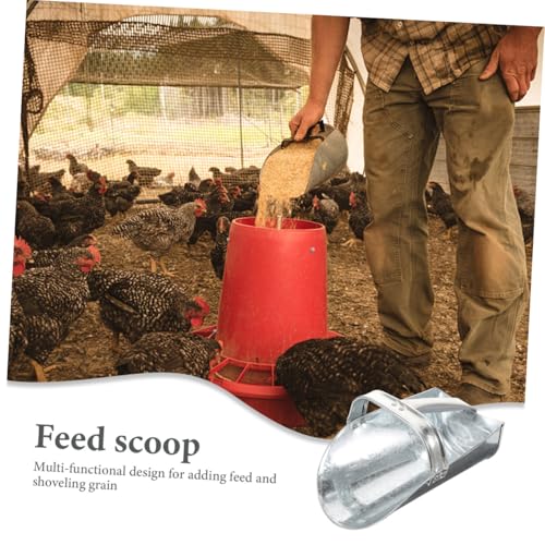 Pelle alimentaire en acier inoxydable Lurrose pour bétail et volaille de ferme