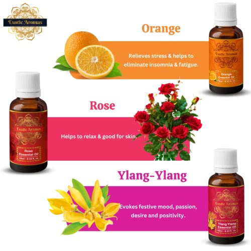 Exotic Aromas Essential Oil Lavender, Rose, Tea Tree, Jasmine, Ylang Ylang, Orange, Lemongrass, Peppermint, Rosemary, Pure & Natural (Pack of 9) - Image 4