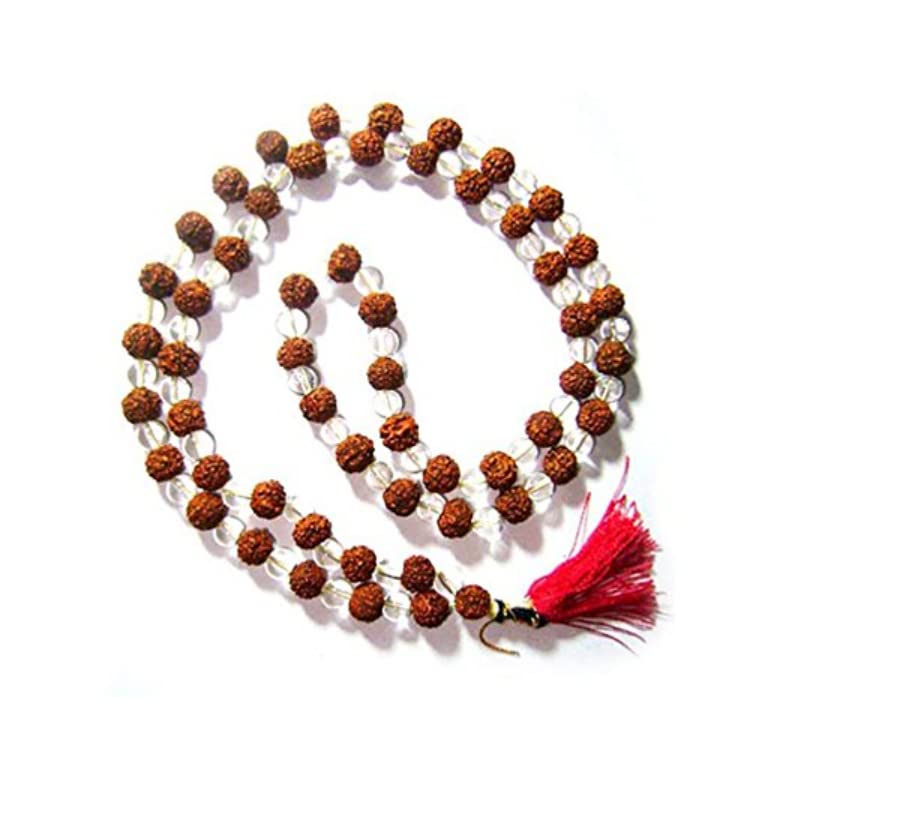 See full amazon price history chart for Rudraksha Sphatik Mala 108 Beads Original Rudraksha Sphatik Mala Crystal Mala Rosary 108 Sphatik Rudraksha Mala Original Certified Rudraksha Mala 108+1 Beads Natural Mala Nepali by Certified Gems Rudraksha Sphatik Mala 108 Beads Original Rudraksha Sphatik Mala Crystal Mala Rosary 108 Sphatik Rudraksha Mala Original Certified Rudraksha Mala 108+1 Beads Natural Mala Nepali by Certified Gems (B097Y9NZ66) Amazon Price History, Amazon Price Tracker