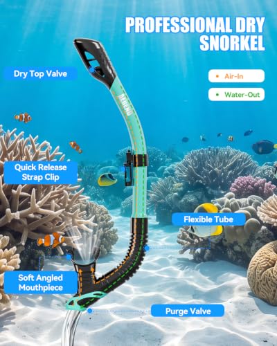Equipo de Snorkel Aegend para Adultos con Máscara Colorida, Snorkel Seco y Bolsa de Malla miniatura 4