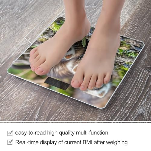 Báscula de Baño Digital Ferrets con Vidrio Templado miniatura 5