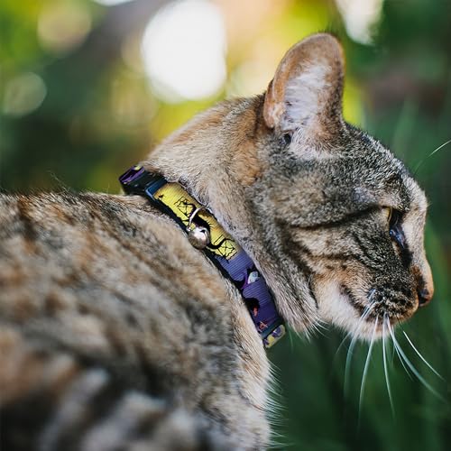 Image of Buckle-Down Breakaway Cat Collar - Maleficent Poses - 1 /2 inch Wide - Fits 8-12 inch Neck - Medium