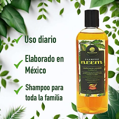 Salud, Guild Imagen adicional