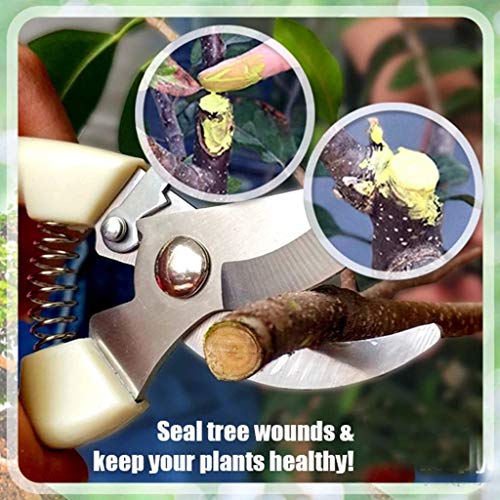 TAOtTAO Tree Pruning Cement Bonsai Cut Paste Tree Pruning Cement Bonsai
