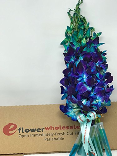 eflowerwholesale - Premium Cut Blue Orchids (10 stems Orchid with Rhinestone Mesh Ribbon Vase) - Thumbnail 4