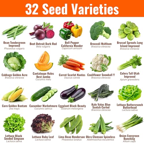 Vegetable & Fruit Seeds | 32 Individual Packs | 2026 Season | Non-GMO, High Yield - 15,000+ Seeds | Tomato, Cucumber, Zucchini, Bell Pepper and More | for Indoor & Outdoor Garden Planting by Open Seed Vault - Image 2
