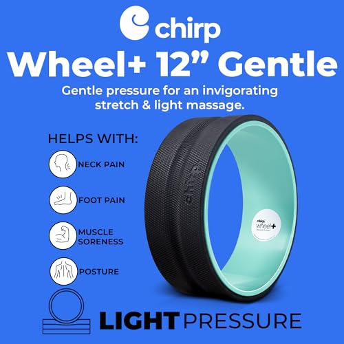 Chirp Wheel Foam Roller - Targeted Back & Neck Pain Relief, Muscle Massage, Trigger Point Therapy, High-Density Foam Tool for Physical Therapy, Stretching & Exercise, 500lbs Capacity, 12-Inch Mint - Image 3