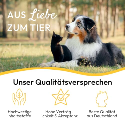 PHA HautRepair Creme für Hunde & Katzen - Pflege und Schutz bei Schürfwunden, Druckstellen mit Vaseline, Zink, Lebertran, Vitaminen, Panthenol, 125 ml