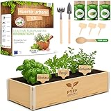PYEF CRAFTS Huerto Urbano Hierbas Aromáticas - Kit Plantas Aromáticas Interior con Semillas de Orégano, Albahaca, Perejil y Cilantro - Caja de Madera - Kit Semillas Plantas Culinarias para Casa