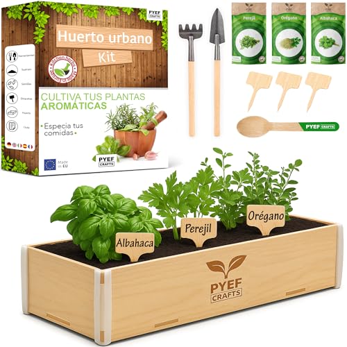 PYEF CRAFTS Huerto Urbano Hierbas Aromáticas - Kit Plantas Aromáticas Interior con Semillas de Orégano, Albahaca, Perejil y Cilantro - Caja de Madera - Kit Semillas Plantas Culinarias para Casa