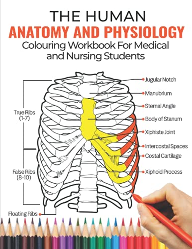 The Human Anatomy And Physiology Colouring Workbook For Medical And Nursing Students: A & P Made Incredibly Visual & Easy | Self Assessment: Nurses ..
