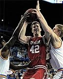 Jakob Poeltl signed 8x10 photo PSA/DNA Utah Utes Autographed - Autographed College Photos